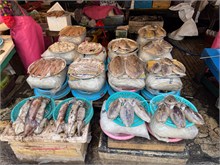 019-Jagalchi-Fish-Market
