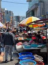 020-Jagalchi-Fish-Market