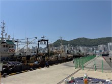 023-Jagalchi-Fish-Market