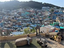 009-Gamcheon-Culture-Village