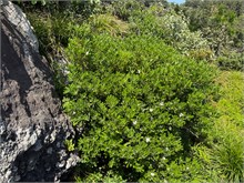011-Jusangjeolli-Cliff
