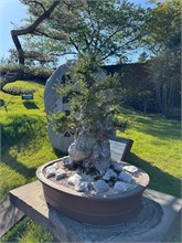 024-Spirited-Garden