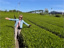 023-Jeju-Island