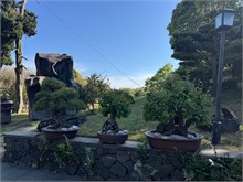 029-Jeju-Island
