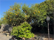 039-Jeju-Island