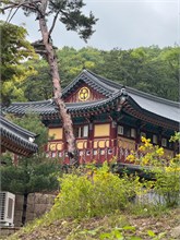 071-Seoul-2nd-Visit