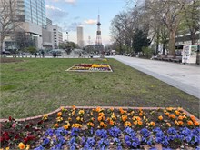 010-Sapporo-0504