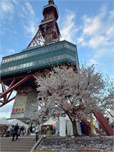 018-Sapporo-0504