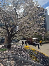 019-Sapporo-0505