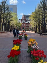 032-Sapporo-0505