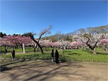 071-Sapporo-0505