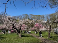 073-Sapporo-0505
