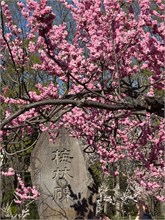 075-Sapporo-0505