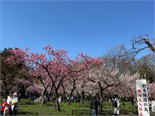 007-Maruyama-Park