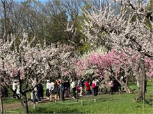 009-Maruyama-Park