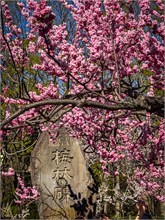 012-Maruyama-Park