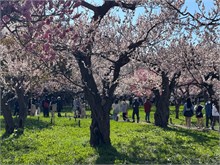 016-Maruyama-Park