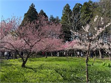 020-Maruyama-Park