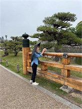 008-Hemeji