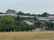 011-Hemeji