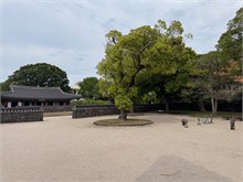 005-Jeju-Mok