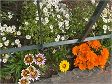 014-Glover-Gardens