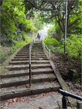 037-Kagoshima