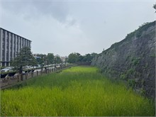 004-Kagoshima-Castle-Ruins