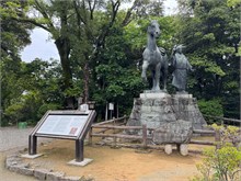 010-Kochi-Castle