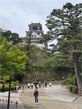 011-Kochi-Castle