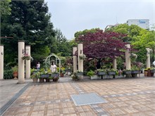 005-Orchid-Gardens-Nagoya