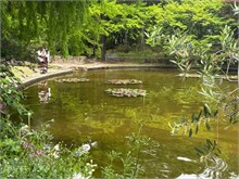 010-Orchid-Gardens-Nagoya