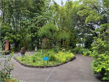 012-Orchid-Gardens-Nagoya