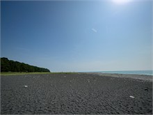 005-Shimizu-Hogoromo-Matsu
