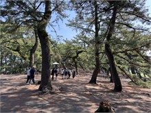 003-Mt-Fuji-1