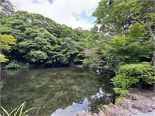 011-Fujinomiya