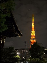 206-Tokyo