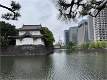 213-Tokyo