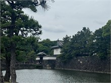 214-Tokyo