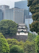 224-Tokyo