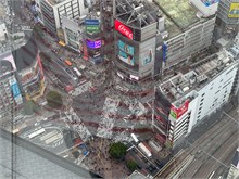 251-Tokyo