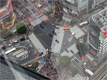 254-Tokyo