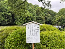 270-Tokyo