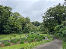 279-Tokyo