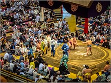 037-Sumo-Tournament