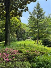 010-Kyu-Yasuda-Gardens