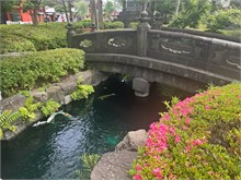 025-Akakusa