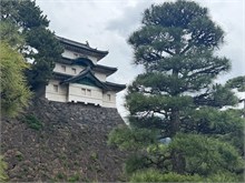 035-Imperial-Palace