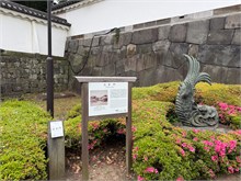 003-East-Gardens