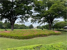 017-East-Gardens